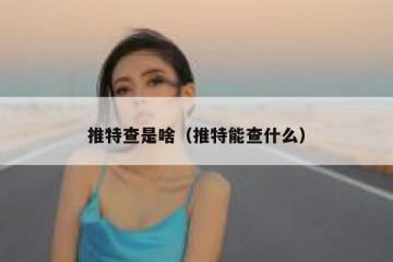 推特查是啥（推特能查什么）