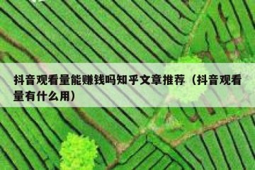 抖音观看量能赚钱吗知乎文章推荐（抖音观看量有什么用）