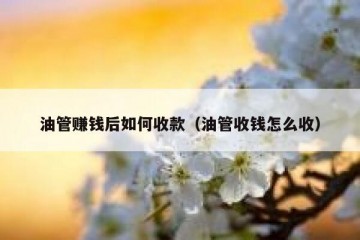 油管赚钱后如何收款（油管收钱怎么收）