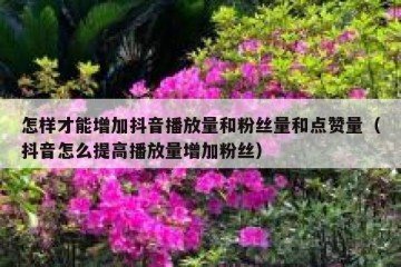 怎样才能增加抖音播放量和粉丝量和点赞量（抖音怎么提高播放量增加粉丝）