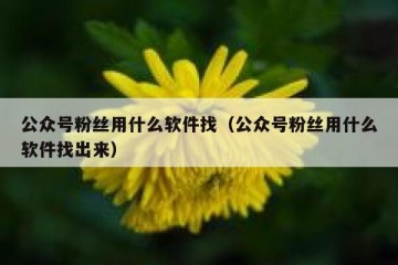 公众号粉丝用什么软件找（公众号粉丝用什么软件找出来）