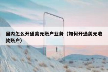 国内怎么开通美元账户业务（如何开通美元收款账户）