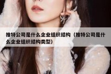推特公司是什么企业组织结构（推特公司是什么企业组织结构类型）