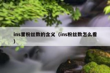 ins里粉丝数的含义（ins粉丝数怎么看）