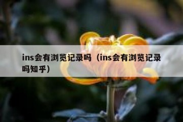 ins会有浏览记录吗（ins会有浏览记录吗知乎）