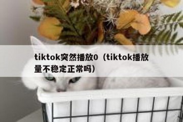 tiktok突然播放0（tiktok播放量不稳定正常吗）