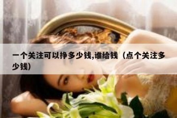 一个关注可以挣多少钱,谁给钱（点个关注多少钱）