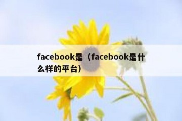 facebook是（facebook是什么样的平台）