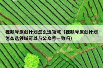 视频号原创计划怎么选领域（视频号原创计划怎么选领域可以与公众号一致吗）