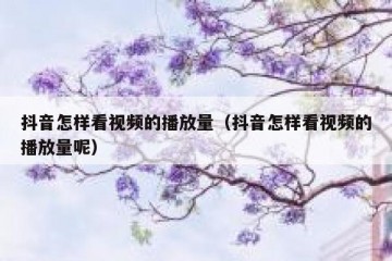 抖音怎样看视频的播放量（抖音怎样看视频的播放量呢）
