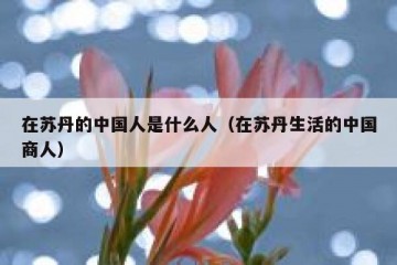 在苏丹的中国人是什么人（在苏丹生活的中国商人）