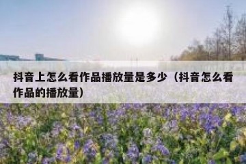 抖音上怎么看作品播放量是多少（抖音怎么看作品的播放量）