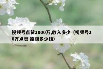 视频号点赞1000万,收入多少（视频号10万点赞 能赚多少钱）