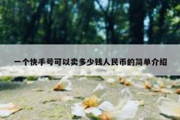 一个快手号可以卖多少钱人民币的简单介绍