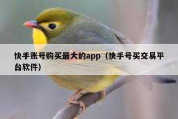 快手账号购买最大的app（快手号买交易平台软件）