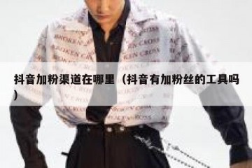 抖音加粉渠道在哪里（抖音有加粉丝的工具吗）