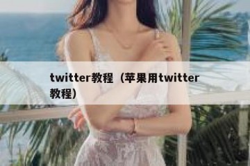 twitter教程（苹果用twitter教程）