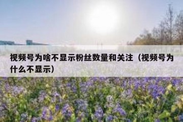 视频号为啥不显示粉丝数量和关注（视频号为什么不显示）