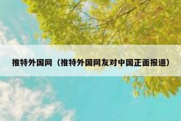 推特外国网（推特外国网友对中国正面报道）
