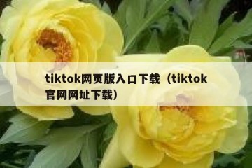 tiktok网页版入口下载（tiktok官网网址下载）