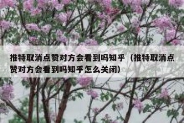 推特取消点赞对方会看到吗知乎（推特取消点赞对方会看到吗知乎怎么关闭）