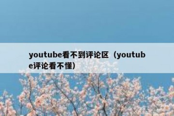 youtube看不到评论区（youtube评论看不懂）