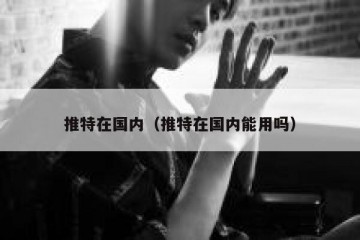 推特在国内（推特在国内能用吗）