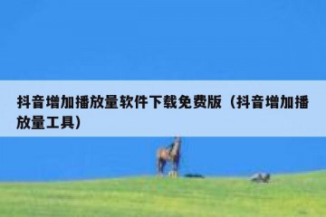 抖音增加播放量软件下载免费版（抖音增加播放量工具）
