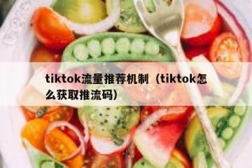 tiktok流量推荐机制（tiktok怎么获取推流码）