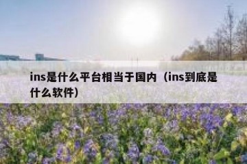 ins是什么平台相当于国内（ins到底是什么软件）