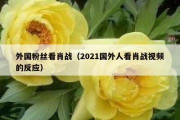 外国粉丝看肖战（2021国外人看肖战视频的反应）