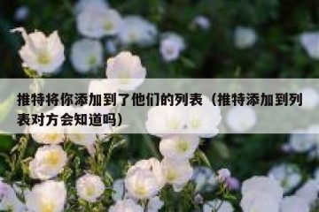 推特将你添加到了他们的列表（推特添加到列表对方会知道吗）