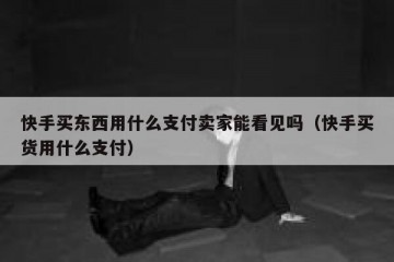 快手买东西用什么支付卖家能看见吗（快手买货用什么支付）