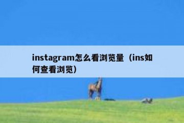 instagram怎么看浏览量（ins如何查看浏览）
