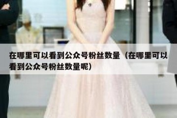 在哪里可以看到公众号粉丝数量（在哪里可以看到公众号粉丝数量呢）