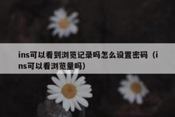 ins可以看到浏览记录吗怎么设置密码（ins可以看浏览量吗）