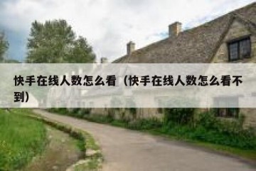 快手在线人数怎么看（快手在线人数怎么看不到）