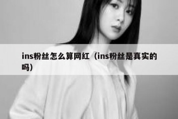 ins粉丝怎么算网红（ins粉丝是真实的吗）