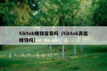 tiktok赚钱容易吗（tiktok真能赚钱吗）