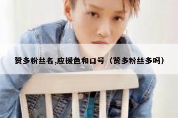 赞多粉丝名,应援色和口号（赞多粉丝多吗）