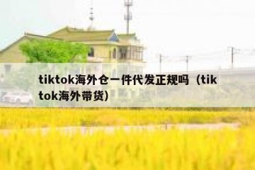 tiktok海外仓一件代发正规吗（tiktok海外带货）