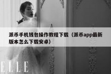 派币手机钱包操作教程下载（派币app最新版本怎么下载安卓）