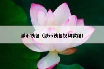 派币钱包（派币钱包视频教程）