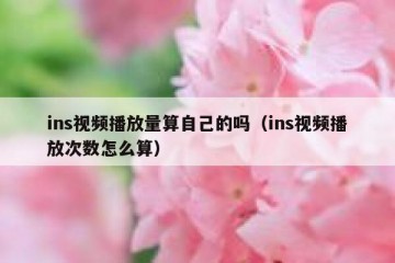 ins视频播放量算自己的吗（ins视频播放次数怎么算）