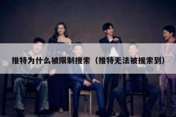 推特为什么被限制搜索（推特无法被搜索到）