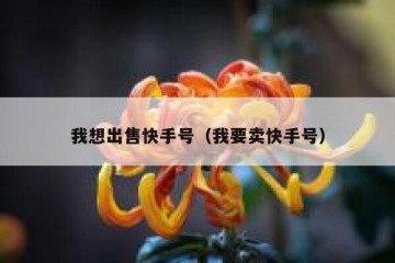 我想出售快手号（我要卖快手号）