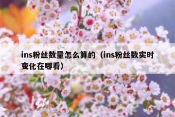 ins粉丝数量怎么算的（ins粉丝数实时变化在哪看）