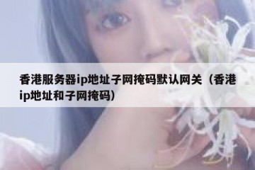 香港服务器ip地址子网掩码默认网关（香港ip地址和子网掩码）