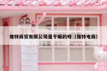 推特商贸有限公司是干嘛的呀（推特电商）