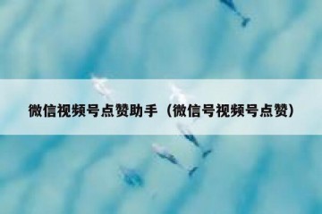 微信视频号点赞助手（微信号视频号点赞）